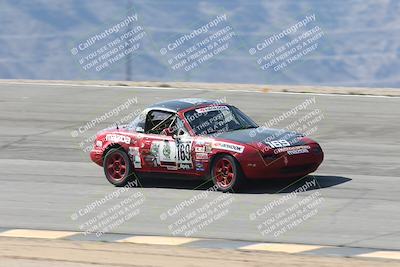 media/Oct-11-2025-Lucky Dog Racing (Sat) [[f5b53147c4]]/2-First Stint/4-Bowl/